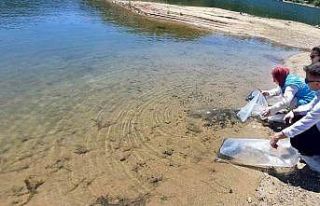 Hisarcık’ta baraj ve göletlere 60 bin yavru sazan...