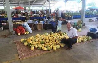 Hisarcık’ta yerli kavun rağbet görüyor