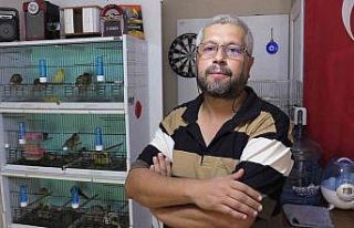 Hobi olarak başladı, şimdi 50 kuşu var