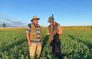 Iğdır’da doğa koruma ve kontrol faaliyetleri