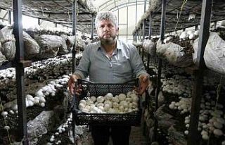 İki ayda 5-6 ton üretiyor, taleplere yetişemiyor