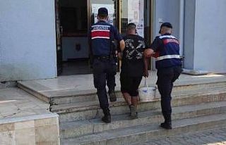 İncir hırsızı suçüstü yakalandı