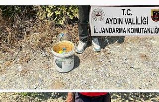 İncir hırsızlarını jandarma suçüstü yakaladı