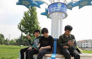 ‘İnternet Ağacı’ Akyazılıların beğenisini...