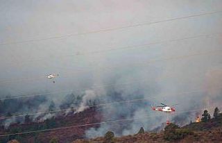 İspanya’nın Tenerife Adası’ndaki yangın büyüyor:...