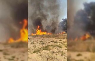 Isparta’da 10 dönümlük sazlık küle döndü