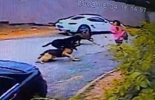 İstanbul’da dehşet anları kamerada: Kadınlar...