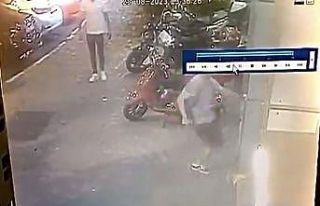 İstanbul’da hayvana şiddete meydan dayağı kamerada:...