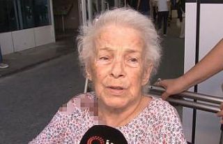 İstanbul’da maymun dehşeti