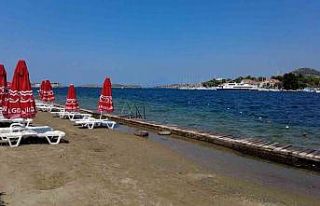 İzmir Foça’da turizmi denizanası vurdu, plajlar...