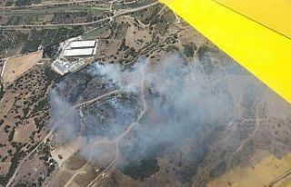 İzmir Menemen’de orman yangını