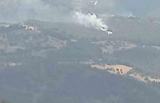 İzmir’de 2 orman yangını yaklaşık 30 dakikada...