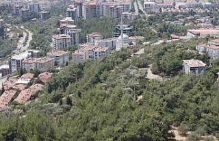 İzmir’de bir mahalle orman yangını korkusuyla...