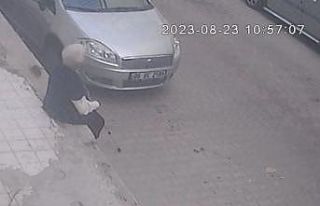 İzmir’de korkunç olay: Farenin ısırdığı kadın...