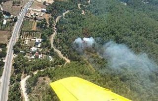 İzmir’de orman yangını büyümeden söndürüldü