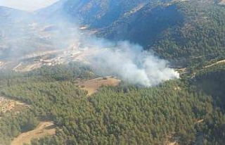 İzmir’de orman yangınına havadan ve karadan müdahale...