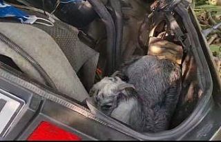 İzmir’de otomobil şarampole uçtu: 2 ölü