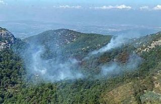İzmir’deki orman yangını kısmen kontrol altında