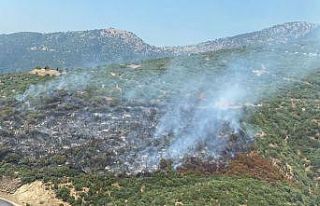 İzmir’deki orman yangını kontrol altında