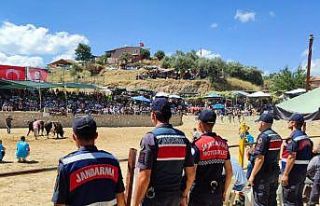 Jandarma boğa güreşinde tedbiri elden bırakmadı