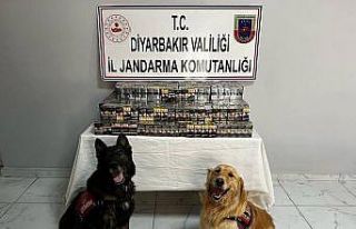 Jandarma ekipleri kaçakçılara geçit vermiyor