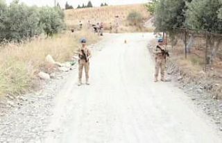 Jandarma, tarım alanlarında hırsızlara karşı...