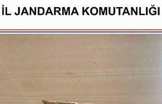 Jandarmadan 5 ilçede uyuşturucu operasyonu