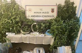 Jandarmadan uyuşturucu tacirlerine geçit yok