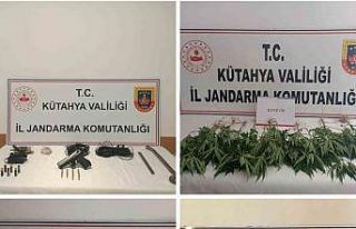 Jandarmadan uyuşturucu ve kaçakçılık operasyonları,...
