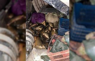 Kaçak balık avcılarına suçüstü baskın