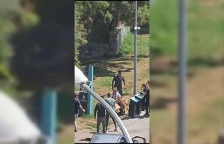 Kadıköy’de tasmasız köpek dehşeti