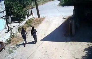 Kadın hırsızlar mahallenin korkulu rüyası oldu