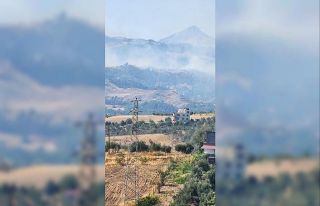 Kahramanmaraş’ta orman yangını