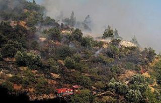 Kahramanmaraş’ta orman yangını kontrol altına...