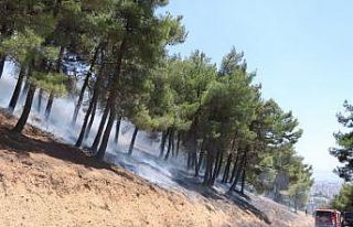 Kahramanmaraş’taki orman yangınında bir kişi...