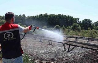 Kalıcı su birikintilerine dikkat