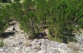 Karabük’te 4 metre yükseklikten düşen çocuk...