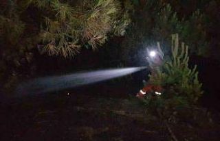 Karabük’te korkutan örtü yangını