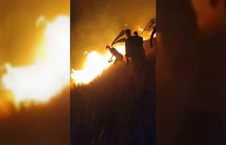 Karacadağ Bal Ormanı’nda çıkan yangın kontrol...