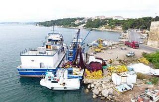 Karadenizli balıkçılar 1 Eylül’e hazır