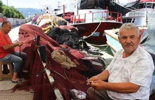 Karadenizli balıkçılar hamsiden umutlu: “Bu sezon...
