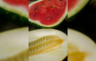 Karpuz ve kavun çekirdeğiyle zayıflayın