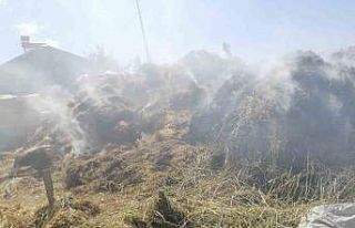 Kars’ta 700 balya ot yandı