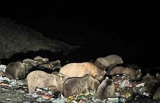 Kars’ta belgeselleri aratmayan görüntüler