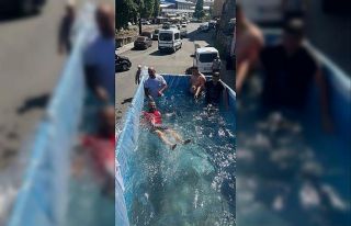 Kars’ta kamyon dorsesinde serinlediler