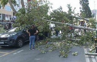 Kartal’da ağaç devrildi, aracın camı patladı