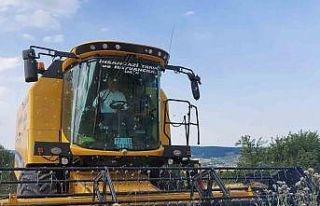 Kastamonu’da 10 bin 350 ton siyez buğdayının...