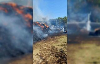 Kastamonu’da 6 bin balya saman, iki samanlık ve...