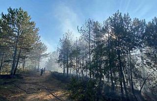 Kastamonu’da orman yangını