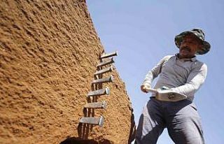 Kavurucu sıcakta ekmeklerini taştan çıkarıyorlar